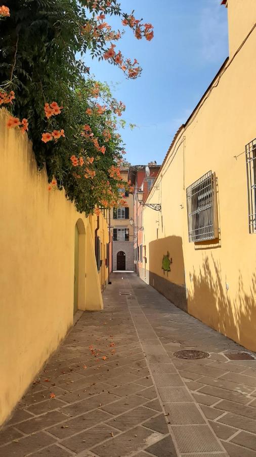 Casa Campanella Bed and Breakfast Piza Zewnętrze zdjęcie